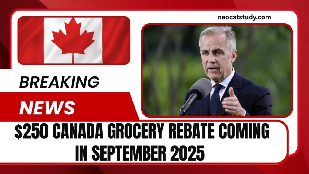 $250 Canada Grocery Rebate Coming In September 2025 – Full Payment Schedule Released