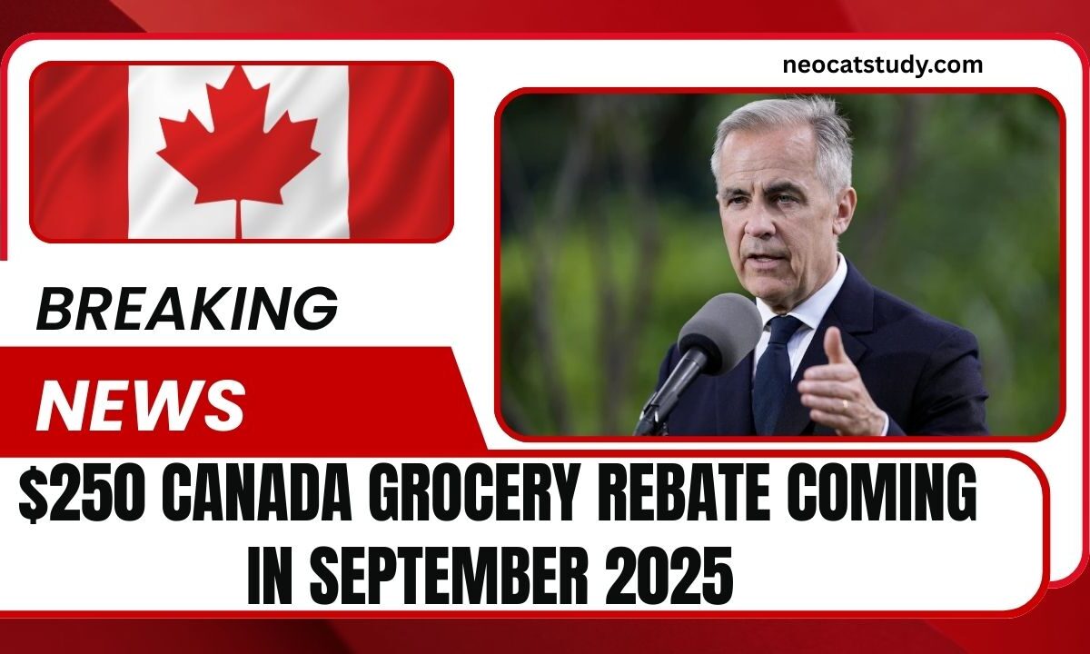 $250 Canada Grocery Rebate Coming In September 2025 – Full Payment Schedule Released